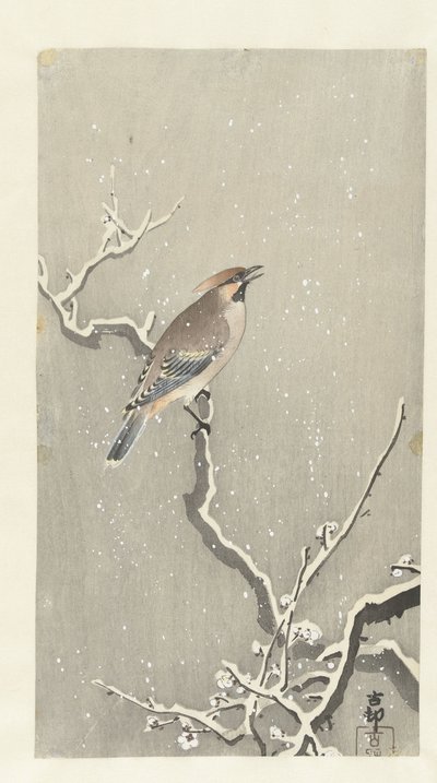 Waxwing on snowy branch by Ohara Koson