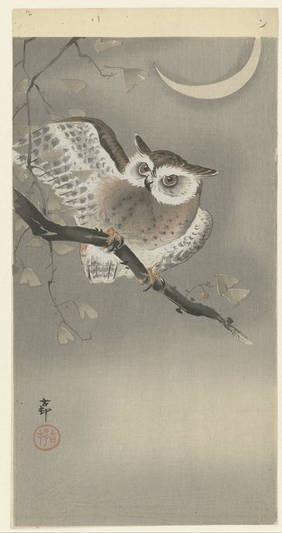 Long-eared Owl in Ginkgo by Ohara Koson