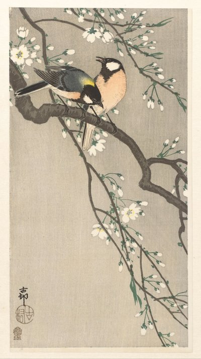 Tits on Cherry Branch by Ohara Koson