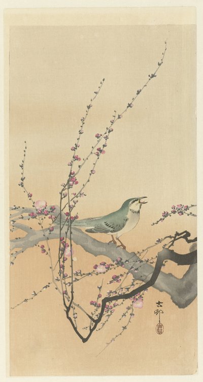 Songbird and Plum Blossom by Ohara Koson