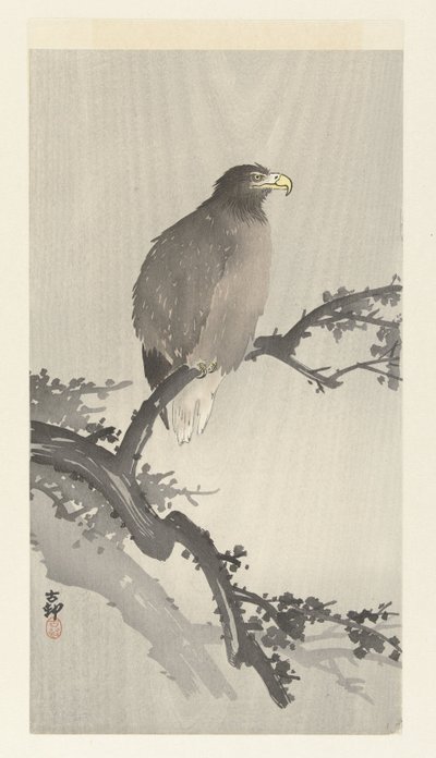 Sea Eagle on a Branch by Ohara Koson