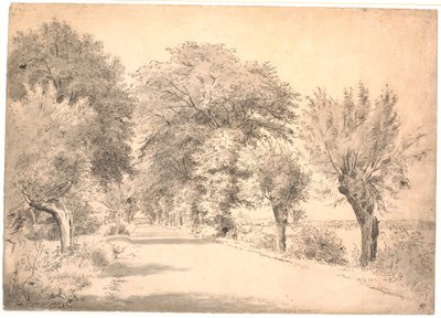 The Road by the Manor Vognserup by P.C. Skovgaard