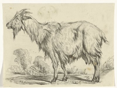 Standing Goat by P.J. Neumans