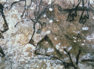 Injured Bull, Rock Painting, Magdalenian by Paleolithic Paleolithic