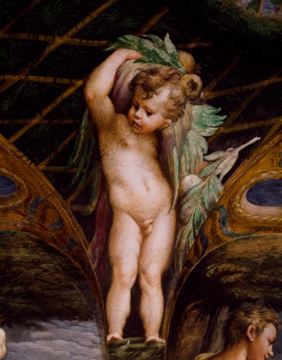 Putto, from Myth of Diana and Actaeon by Parmigianino