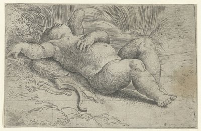 Sleeping Cupid by Parmigianino