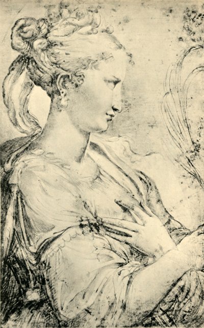 Study of Saint Catherine by Parmigianino