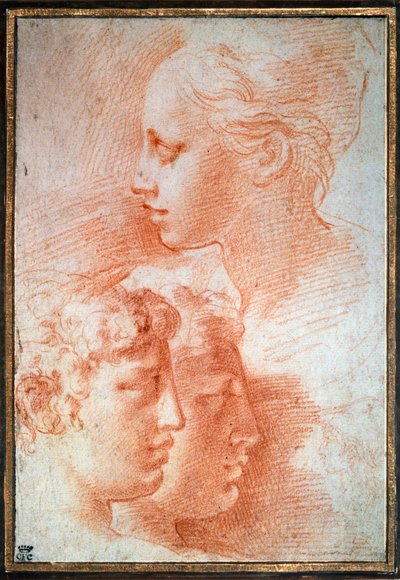 Study of the Heads, c1527 by Parmigianino