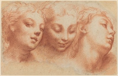 Three Feminine Heads by Parmigianino