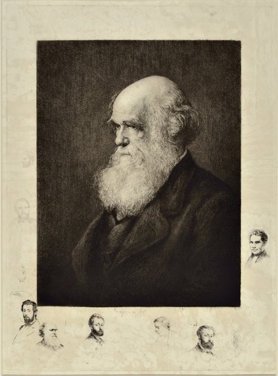 Charles Robert Darwin by Paul Adolphe Rajon