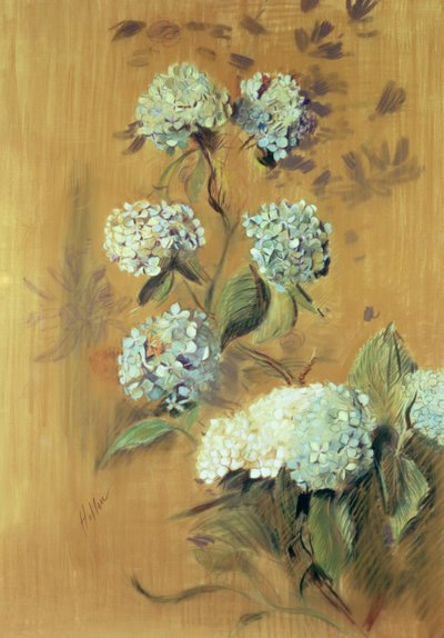 Hydrangeas by Paul Cesar Helleu