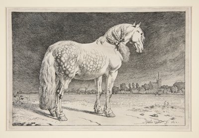 The Friesland Horse by Paulus Potter