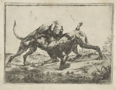 Fighting Dogs by Pauwels van Hillegaert