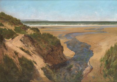 Croyde Sands, Summertime by Peregrine Mulvogue Feeney