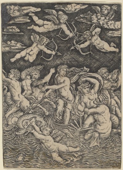The Triumph of Galatea by Peregrino da Cesena