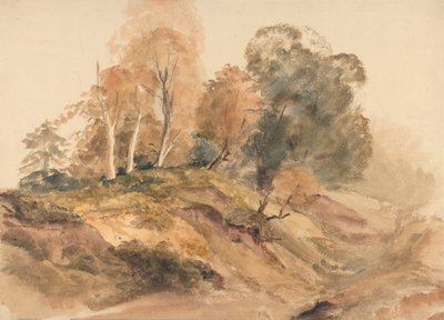 Trees on a Bank by Peter DeWint