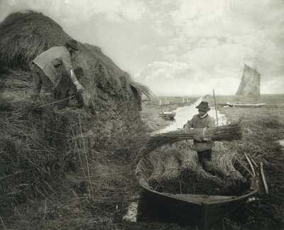 Ricking the Reed by Peter Henry Emerson