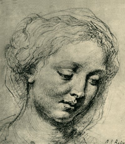 Head of a woman by Peter Paul Rubens