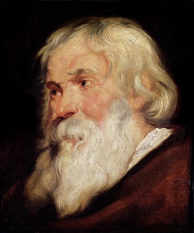 Head of an Old Man by Peter Paul Rubens