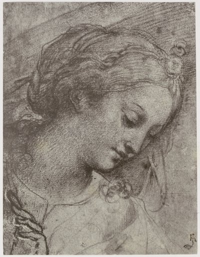 Head of the Virgin by Philip Henry Delamotte