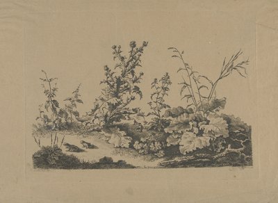 Landscape Study with Thistles and Frogs by Philippe Cardon