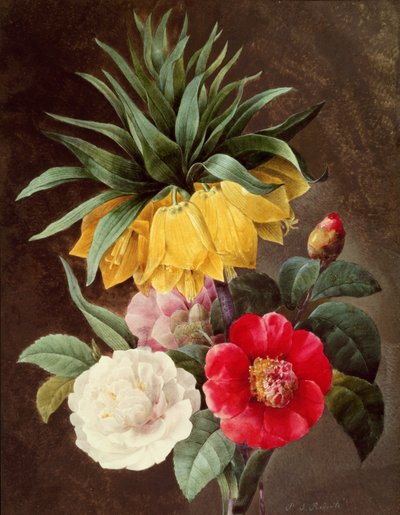 Exotic Flowers by Pierre Joseph Redouté