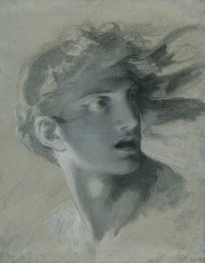 Head of Vengeance by Pierre Paul Prudhon