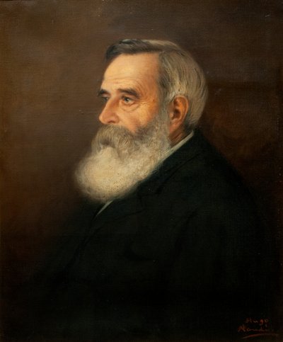 Dr Brown by Pieter Hugo Naudé