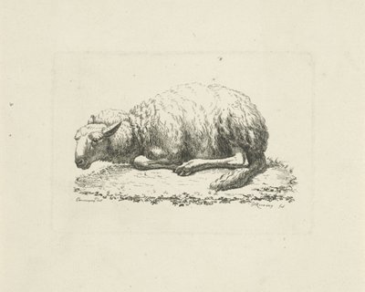 Lying Sheep by Pieter Roosing