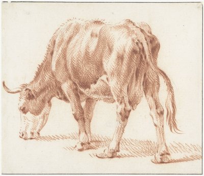 Grazing Cow, Facing Left by Pieter van Bloemen