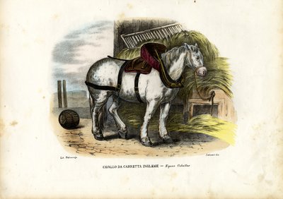 English Farm Horse, 1863-79 by Raimundo Petraroja