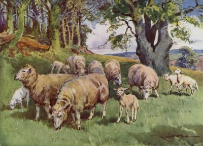 Illustration for My Farm by Reginald Mills