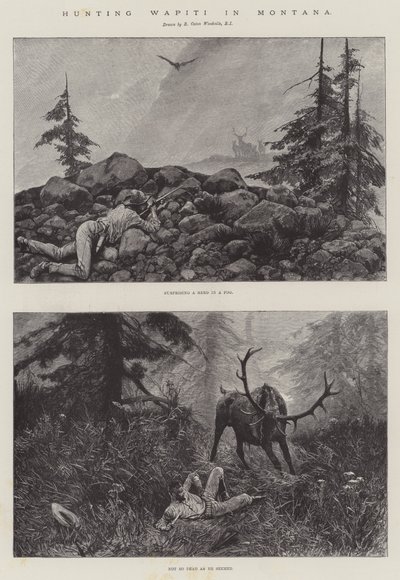 Hunting Wapiti in Montana by Richard Caton Woodville junior