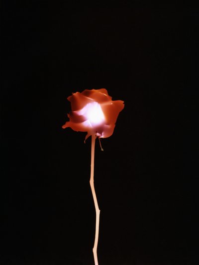 Untitled, 2007 by Richard Green