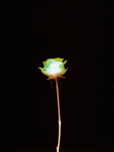 Untitled, 2007 by Richard Green