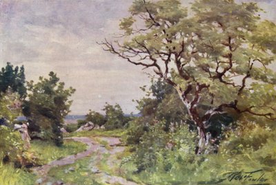 Field Path, near Llanrug by Robert (after) Fowler