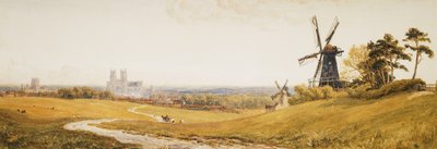 Beverley Minster by Robert Thorne Waite