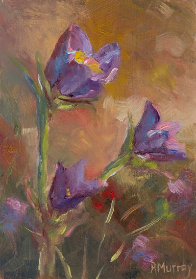 Prairie Crocus by Roberta Murray