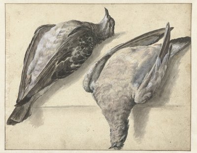 Two Dead Pigeons by Rochus van Veen