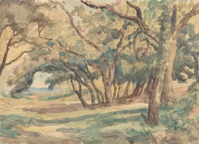 Wooded Glade near St. Tropez by Roger Fry