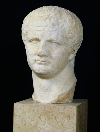 Head of Titus by Roman