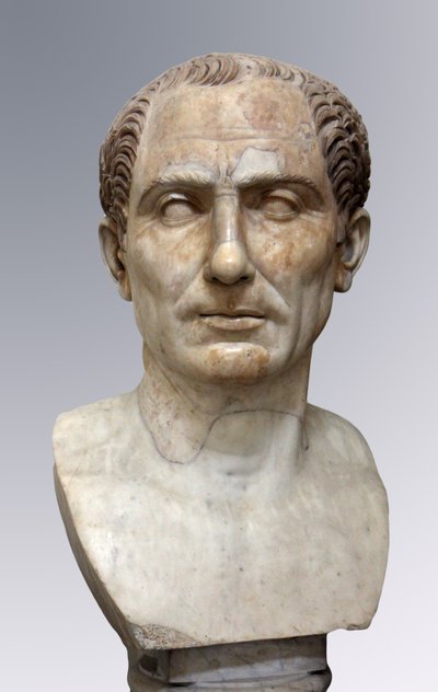 Julius Caesar by Roman