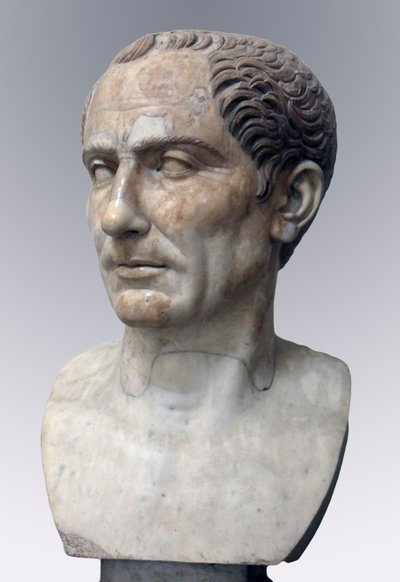 Julius Caesar by Roman