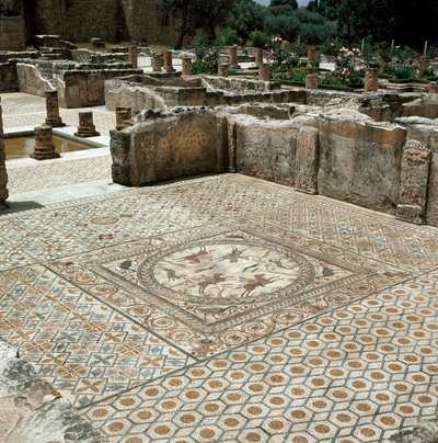 Remains of the Mosaics of the Roman City by Roman