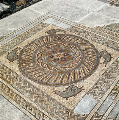 Remains of the Mosaics of the Roman City by Roman