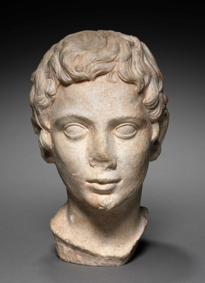 Head of a Youth, 100-1 BC by Roman Period Egyptian