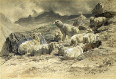 Sheep by Rosa Bonheur