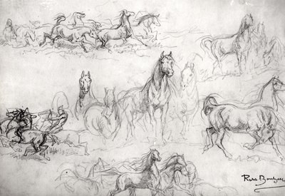 Study of Horses by Rosa Bonheur