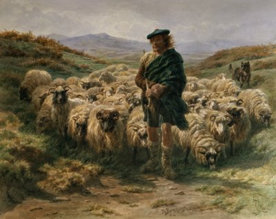 The Highland Shepherd by Rosa Bonheur