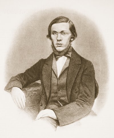 Nikolai Dobrolyubov by Russian School
